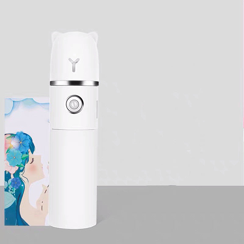 Portable USB Rechargeable Mist Spray Fan (Multi-Function)