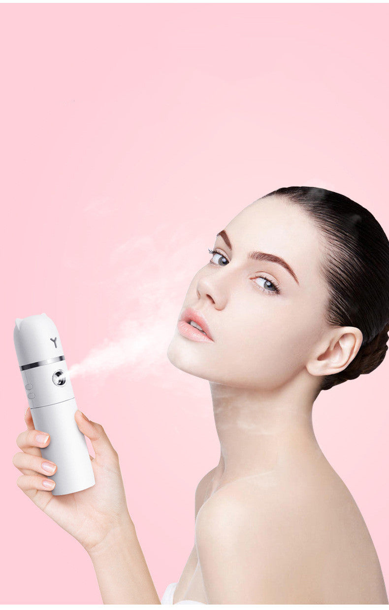 Portable USB Rechargeable Mist Spray Fan (Multi-Function)